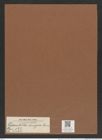 Odontella discigera Grun. (de-Toni-Nr.: Genus 122, Species 3465) Zeichnungen Sammlung Grunow Mappe 03652 (Herbarium_W_Grunow_drawings_Folder_03652)